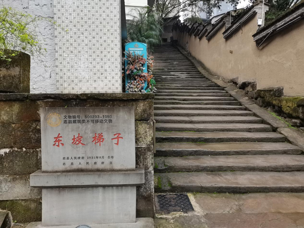 东坡梯子.jpg